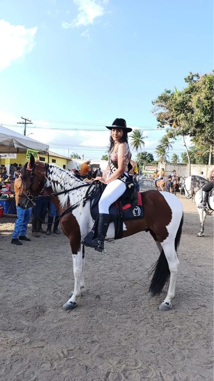 Mangalarga registrado marcha picada 