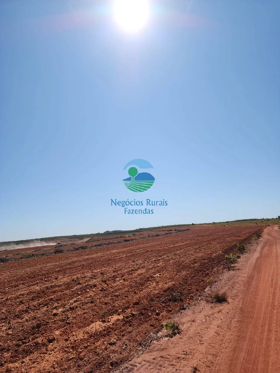 Fazenda 352 Alqueires ou 1,703 Hectares Dupla Aptidão Ponte Alta -TO