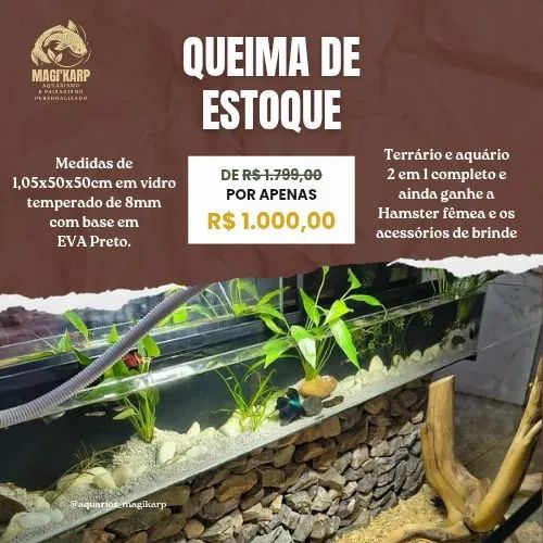 Terrário/Aquário 2 em 1 - Foto 2