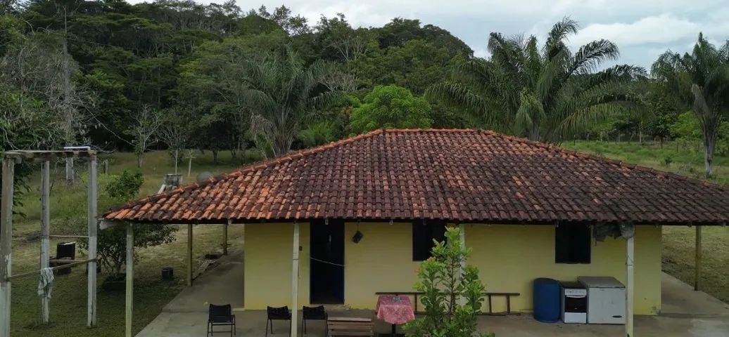 Atenção Investidores, Sitio com Igarapé, com 10 hectares, - próximo cachoeira castanh - Foto 10