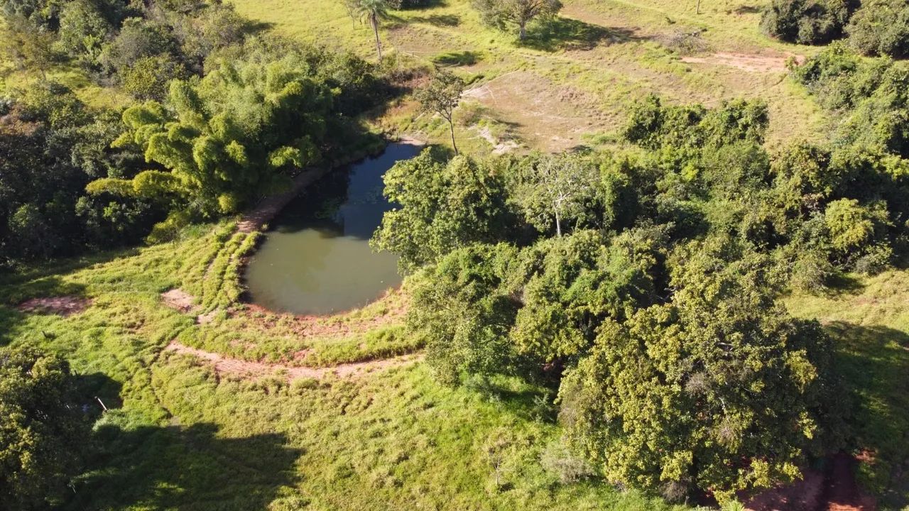 Fazenda pra pecuária em campina verde  - Foto 4