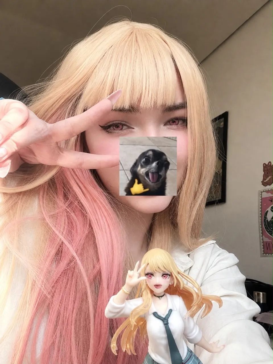 Peruca Marin Kitagawa