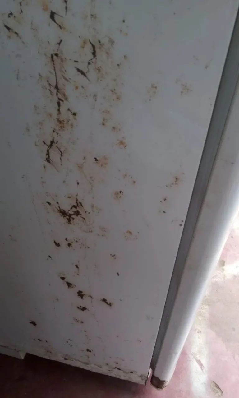 gelaladeira esmalte  - Foto 6