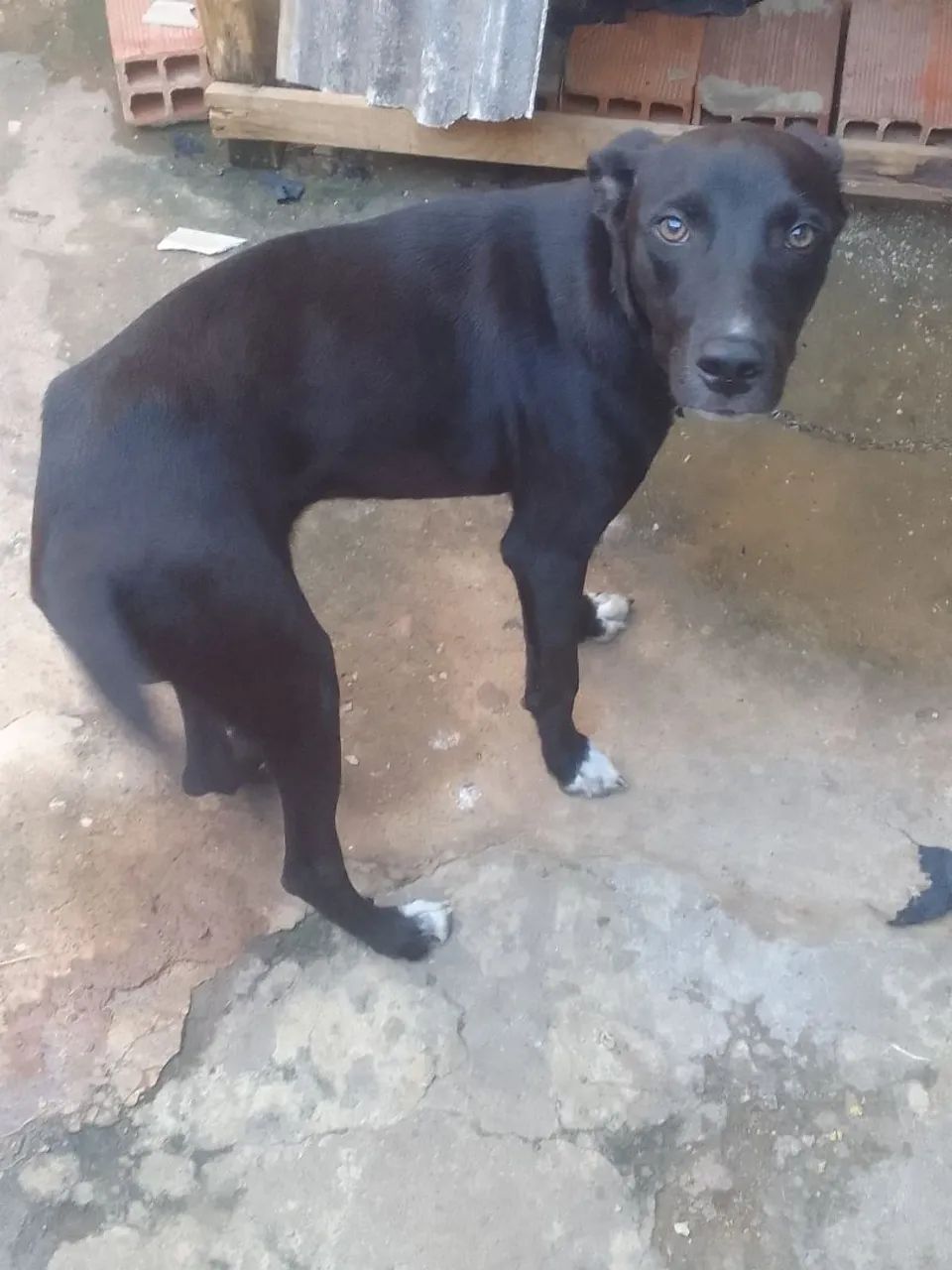 Doação  - Foto 2