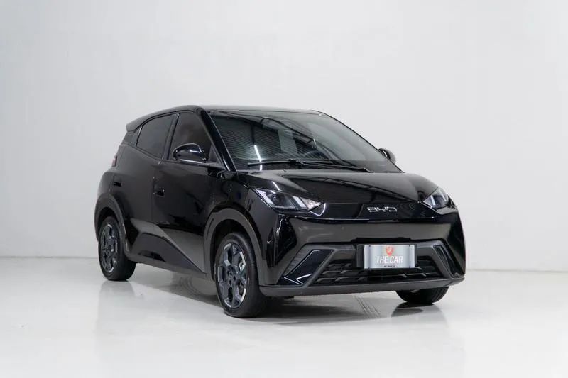 BYD Dolphin Mini (Elétrico) 2027 - Foto 5