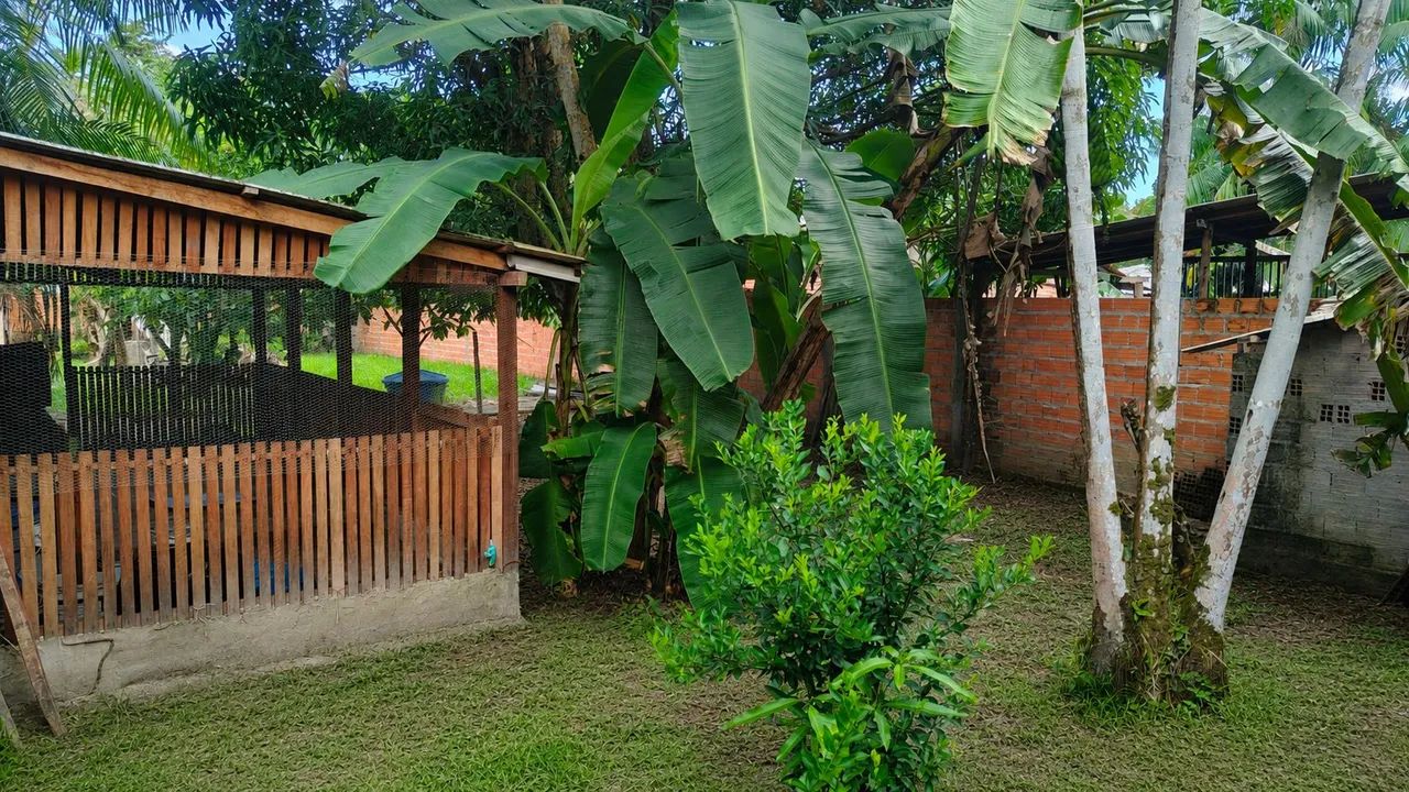 Vendo terreno em benevides - Foto 5