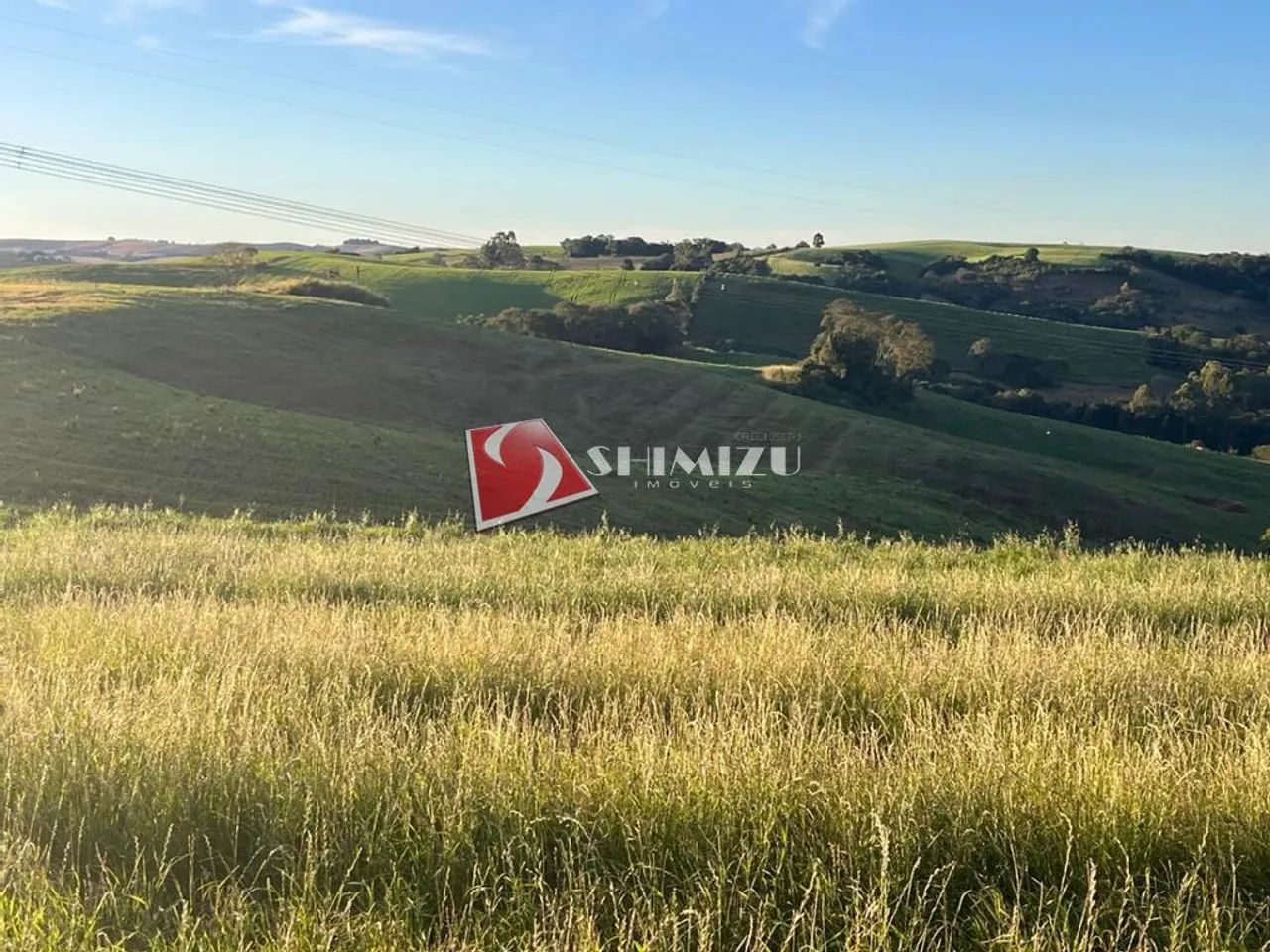 Fazenda à venda em Nova Tebas, Centro, com 1 quarto, com 1104000 m² - Foto 4