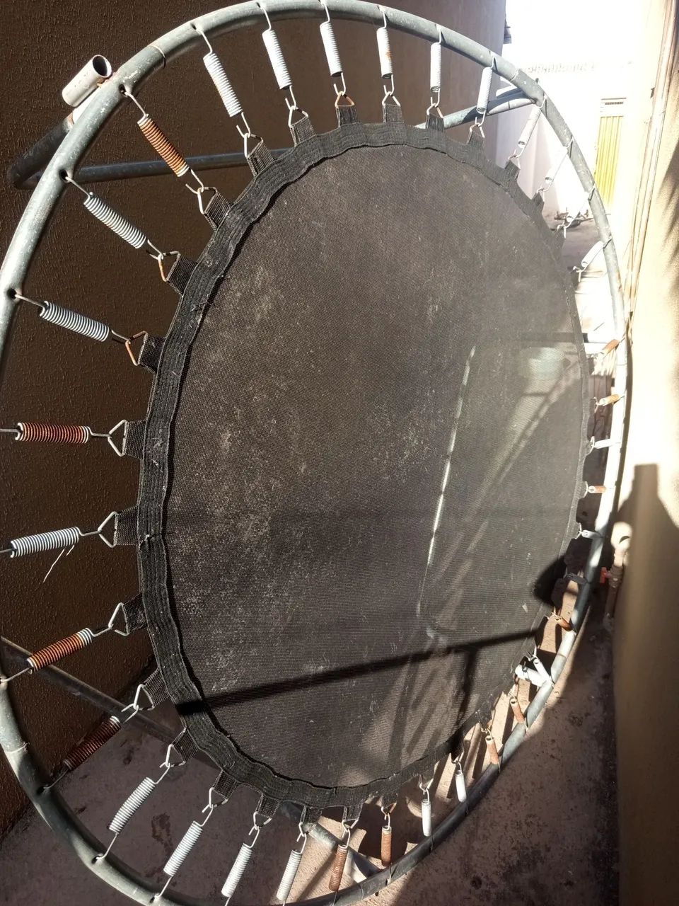 Pula pula  - Foto 2