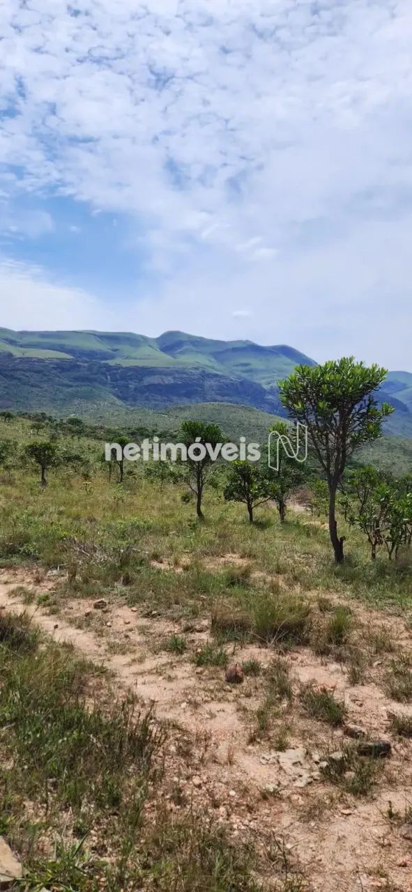 Venda Lote-Área-Terreno São Caetano da Moeda Moeda