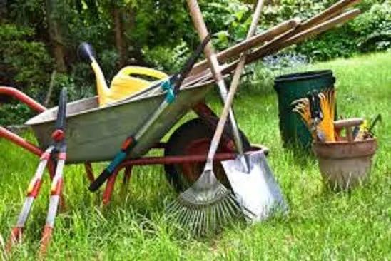 Jardineiro Limpeza e Conservação - Foto 4