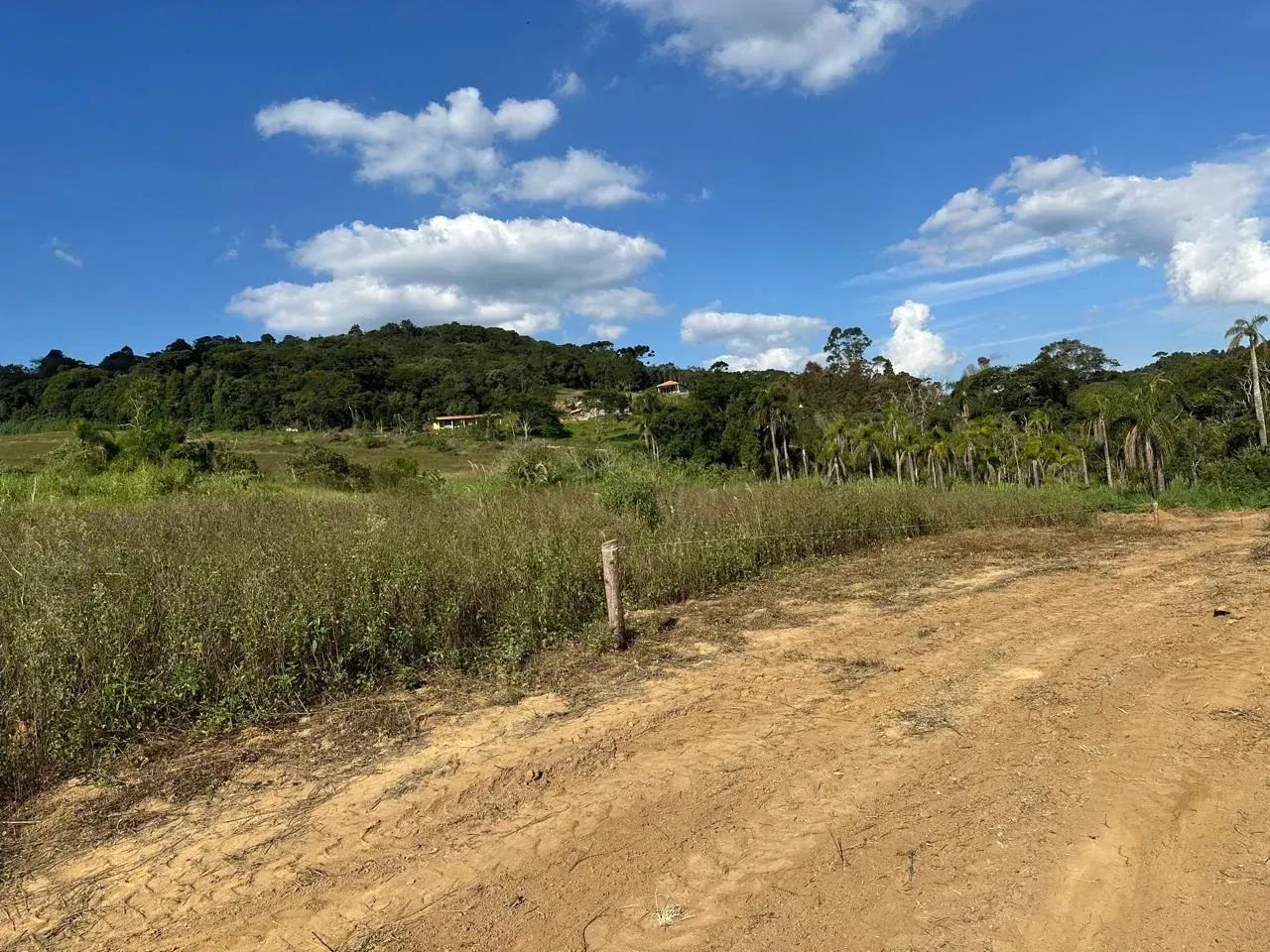 Terrenos em Caucaia do Alto - Foto 2