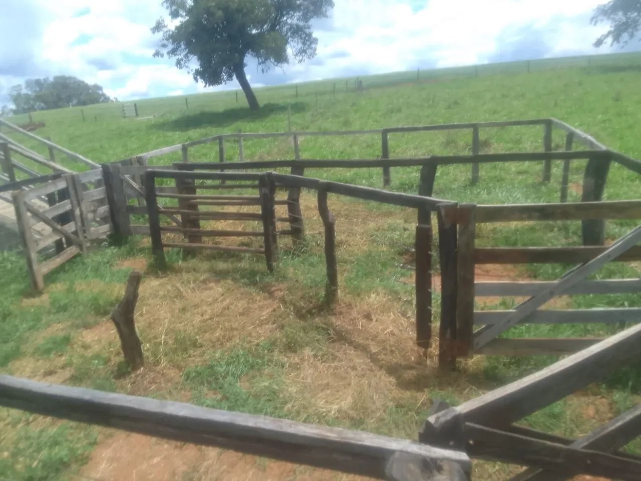 Chácara - Foto 4