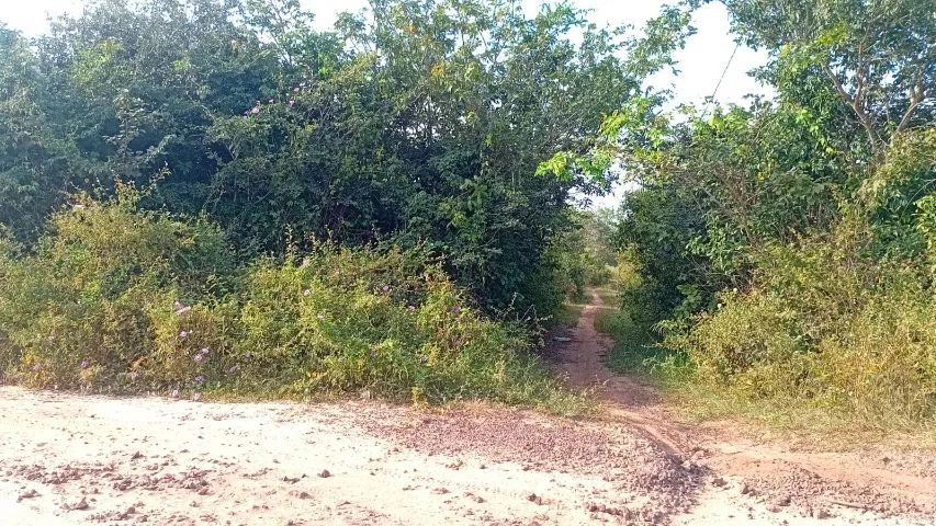 Terreno Povoado Bonito 450m² - Foto 4