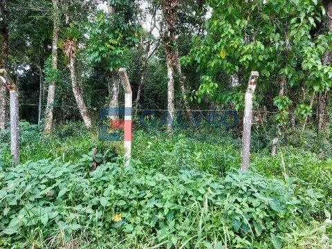 Terreno à venda na Praia de Boracéia em São Sebastião - SP - Foto 5