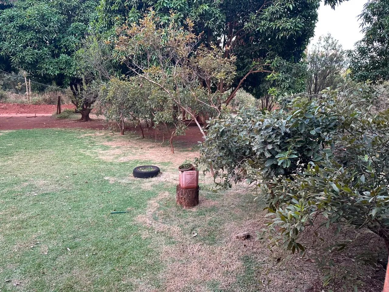Linda Chácara em Jaraguari - Foto 5