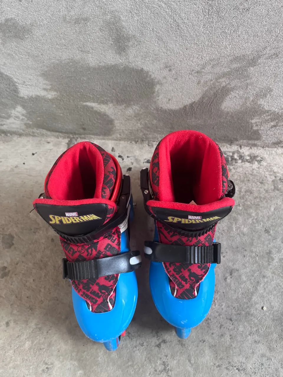 Skates and Bear