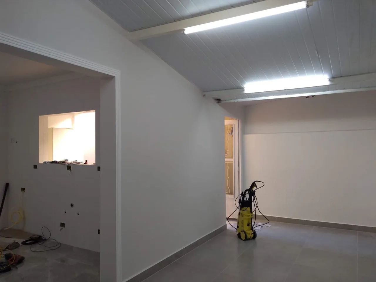 Pintor profissional 