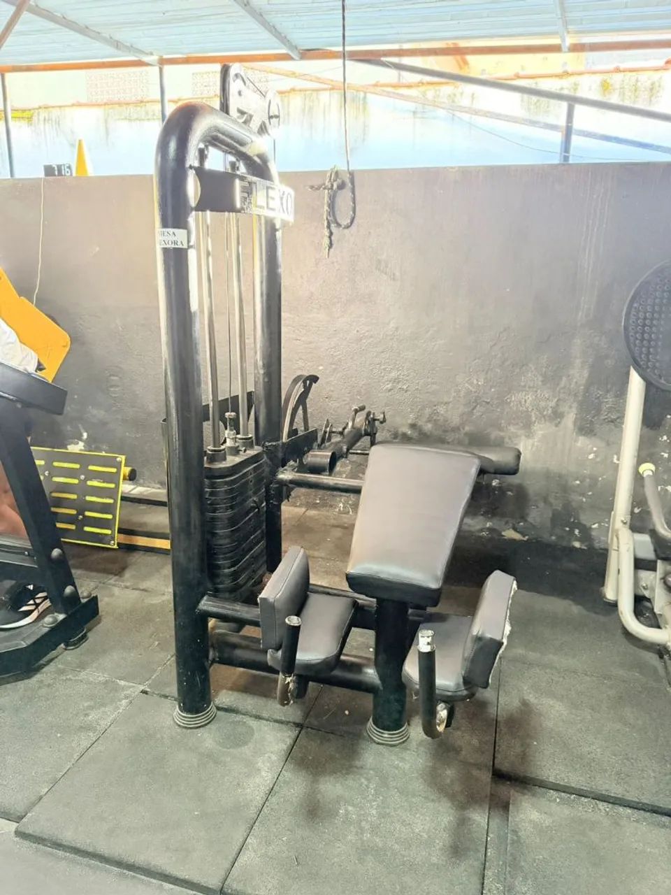 Mesa flexora 