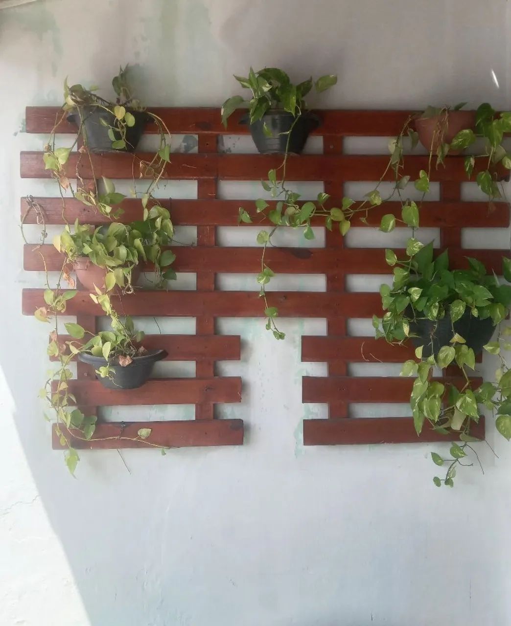 Jardim suspenso 