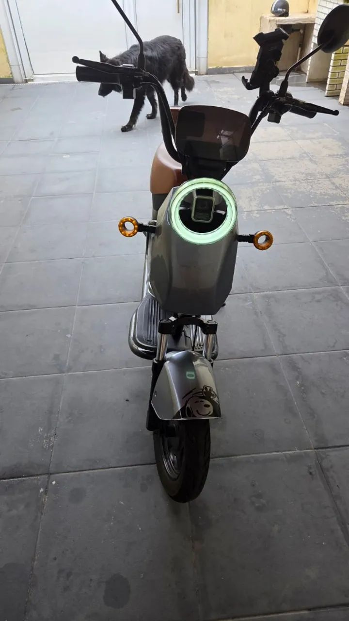 PANDA WD-2 - Foto 3