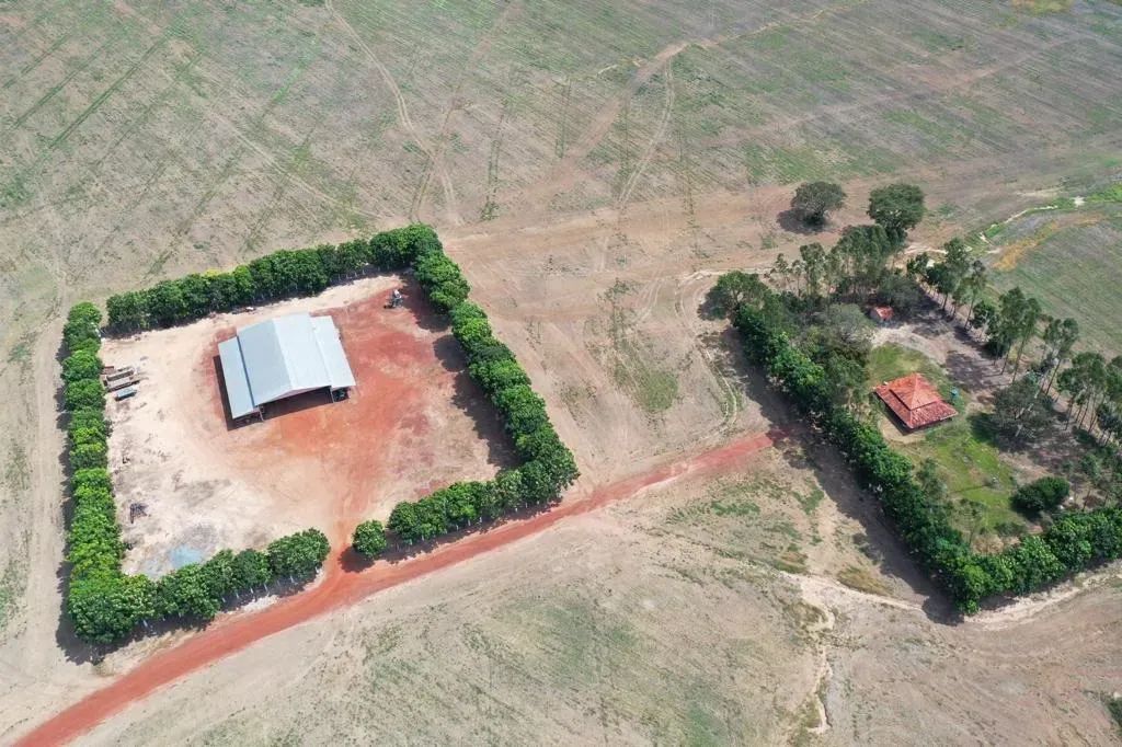 Fazenda a venda em Peixe Tocantins!!! - Foto 3
