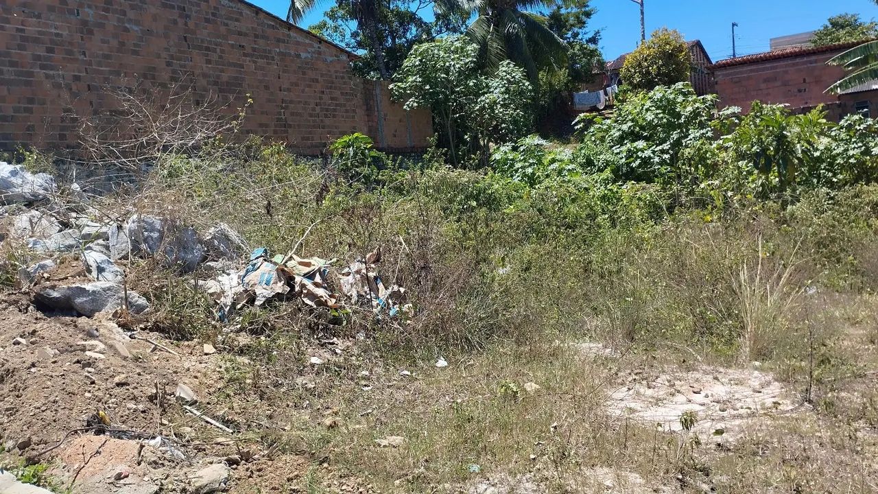 Terreno a Venda em Santo Amaro das Brotas  - Foto 2
