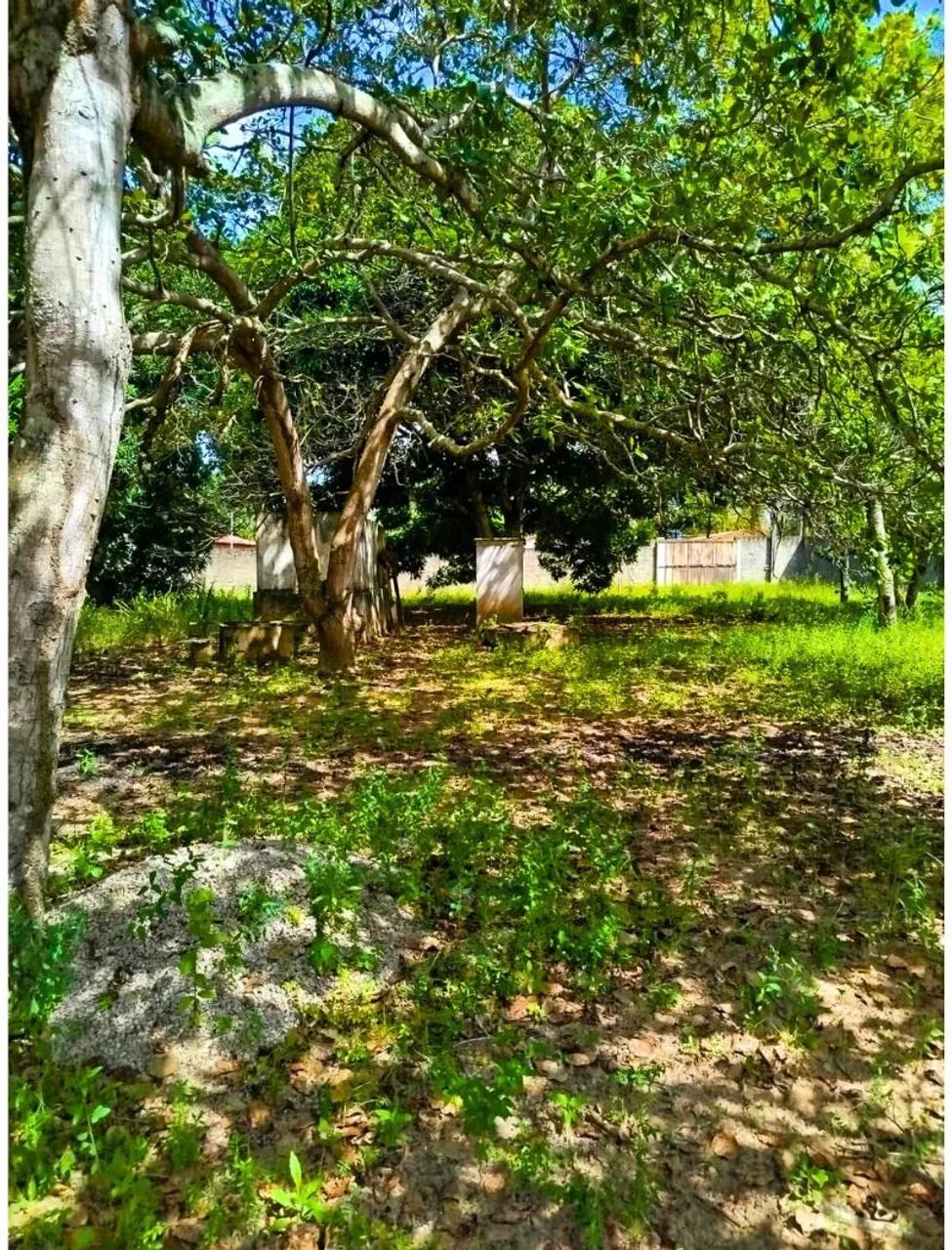 Chácara  - Foto 3