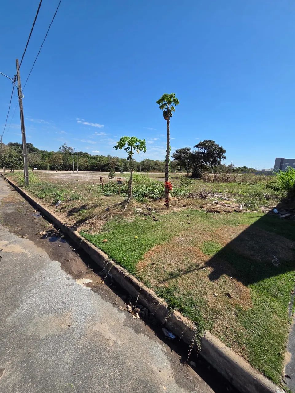 Terreno Jardim Riva próximo a avenida e a o centro - Foto 2