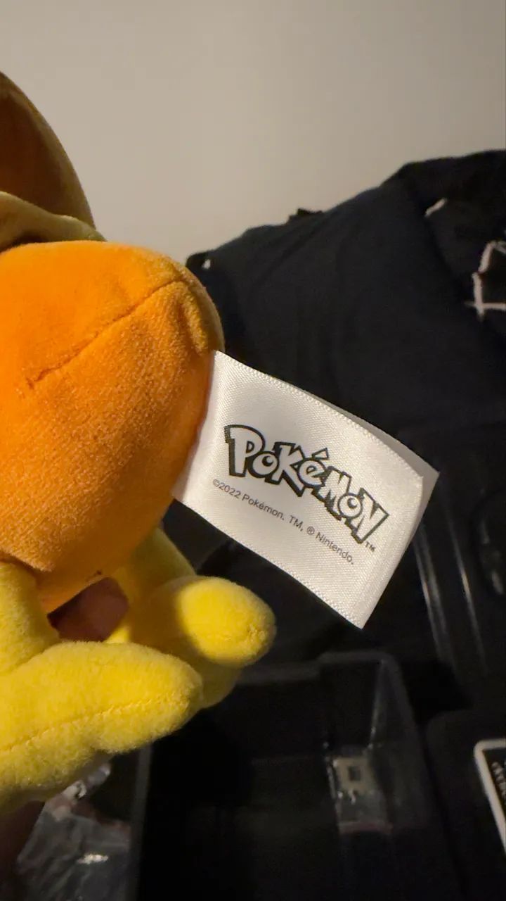 Boneco de pelúcia Pokémon Torchic 28cm - Foto 3