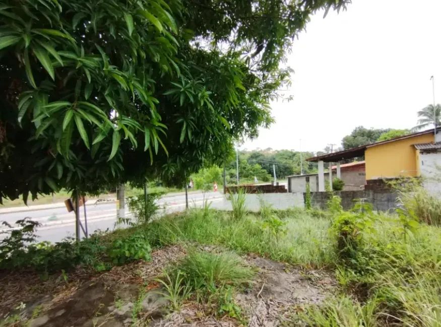 Lote para Venda em Cabo de Santo Agostinho