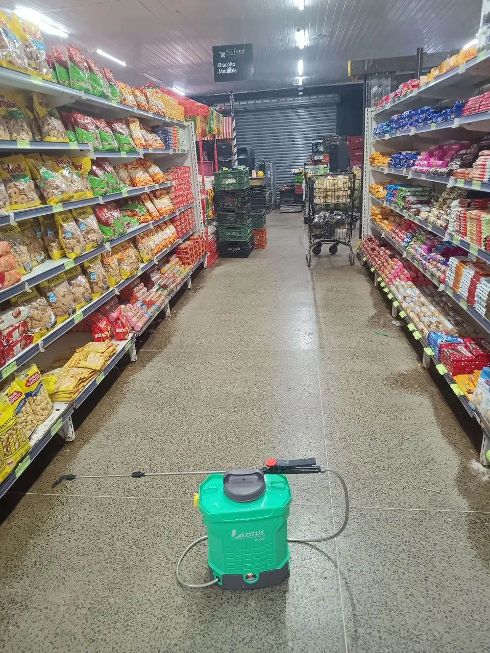 Dedetização e Desratização Profissional  - Foto 2