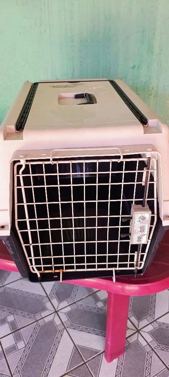 Transportador pet 