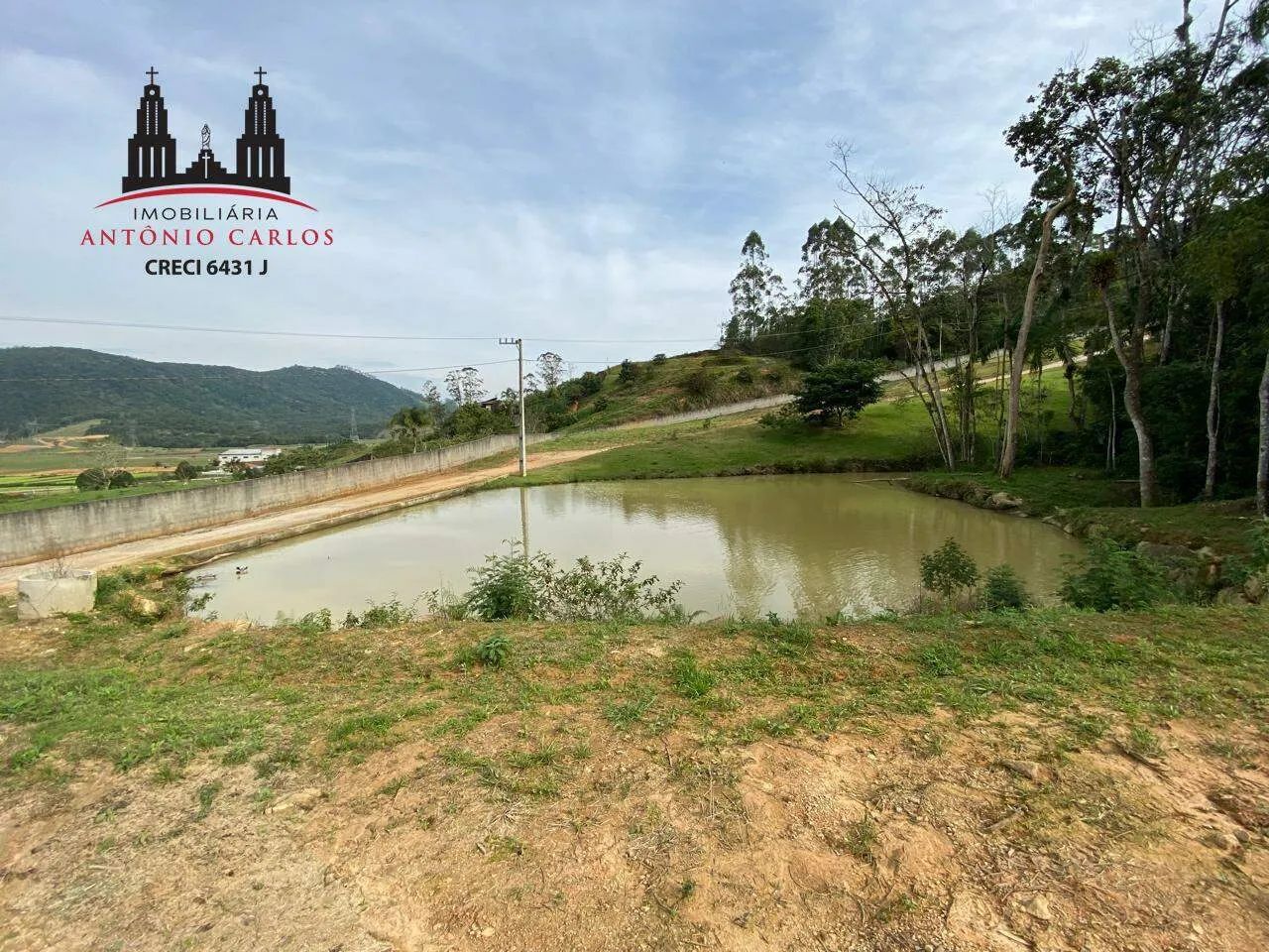 Sítio à Venda  Bairro Guiomar, Antônio Carlos/SC - Foto 5