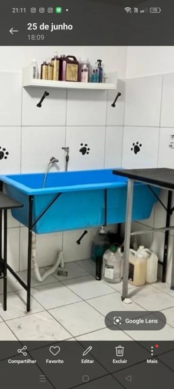 PET SHOP - BANHO E TOSA - Foto 2