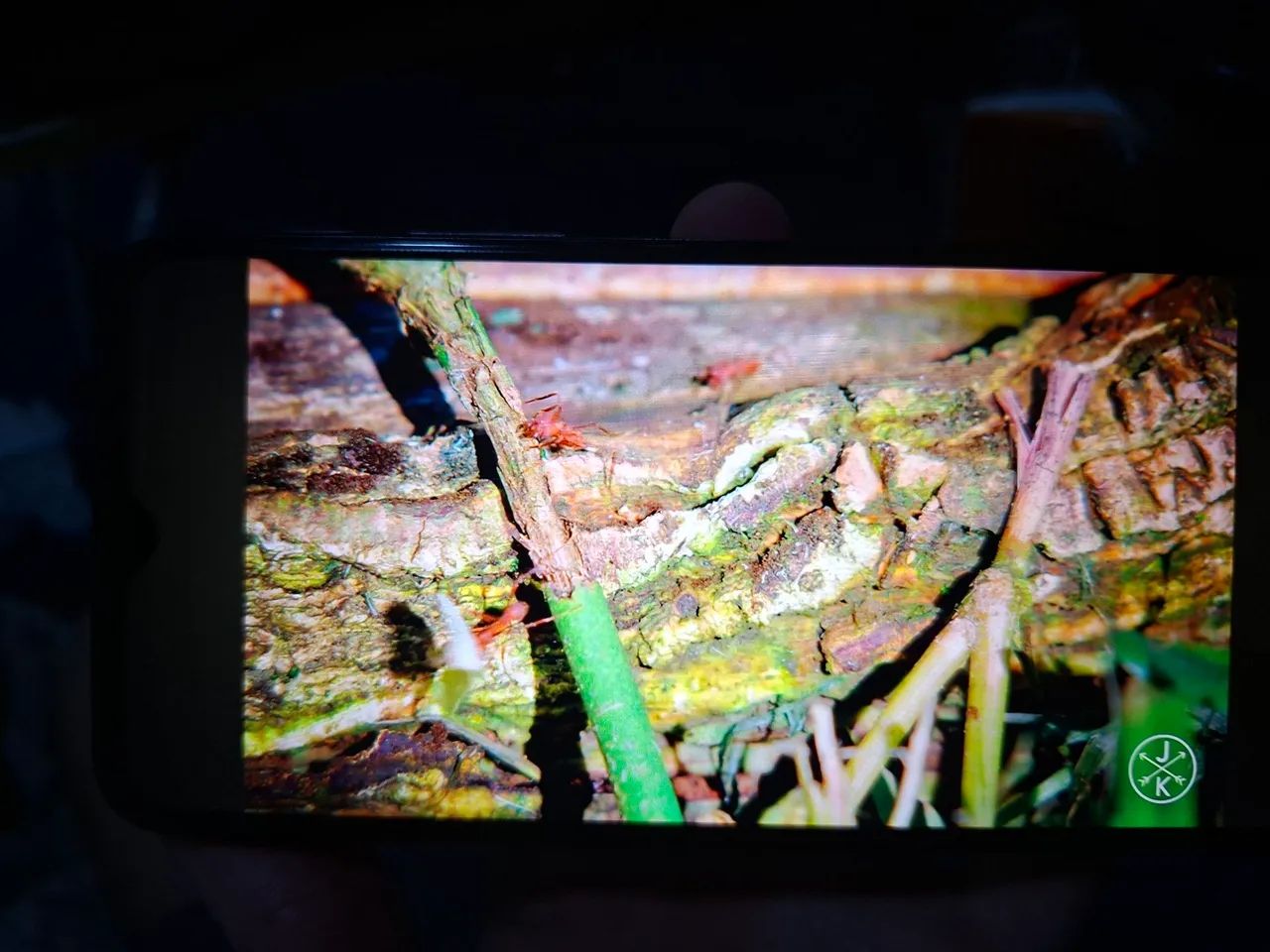 Celular moto g30 - Foto 5