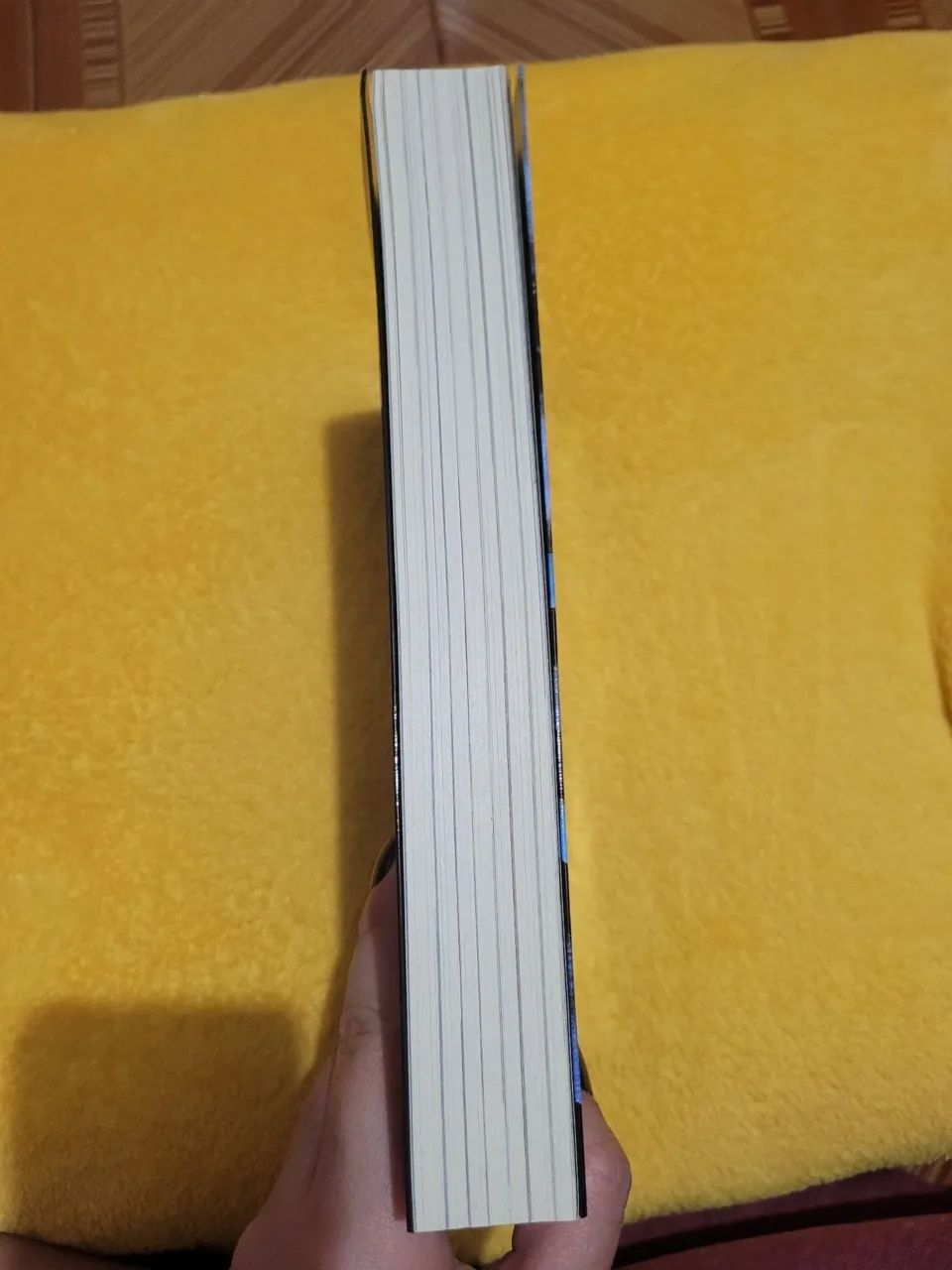 The Ghost In The Shell Volume 1 - Foto 3