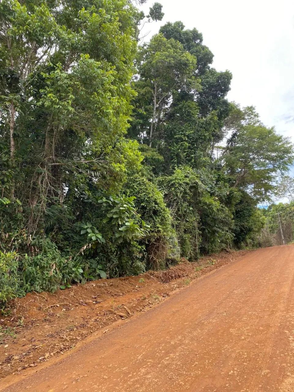 Terra a venda  - Foto 4
