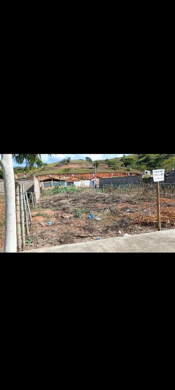 lote - Foto 2