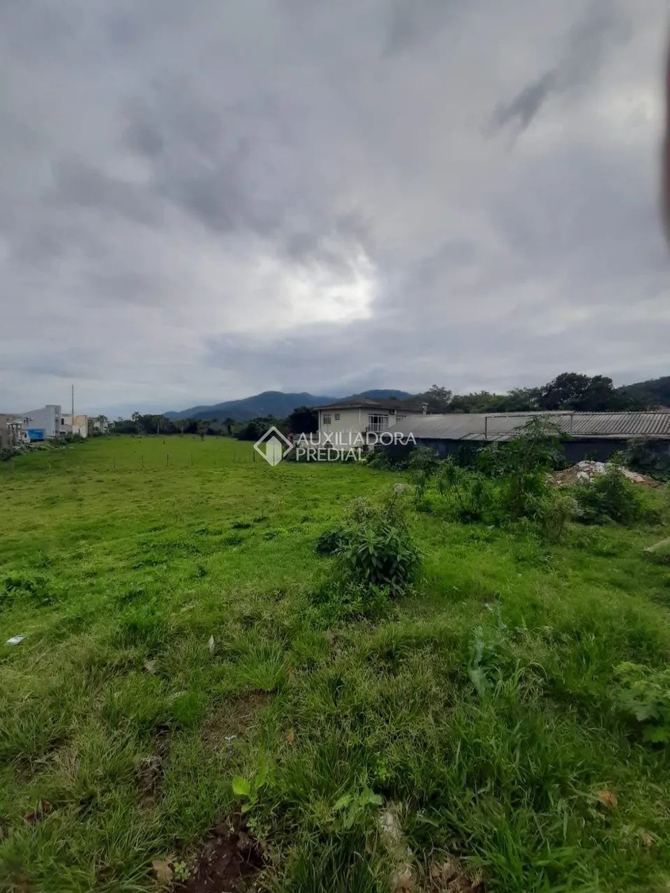 Terreno à venda, Campeche, FLORIANOPOLIS - SC - Foto 5