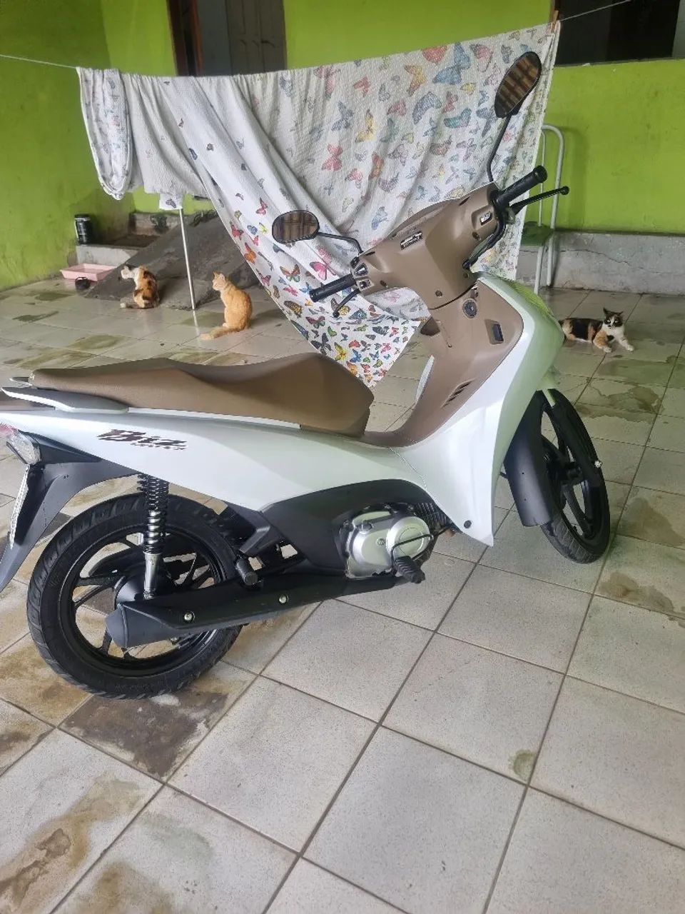 Bis flex 125 - Foto 2