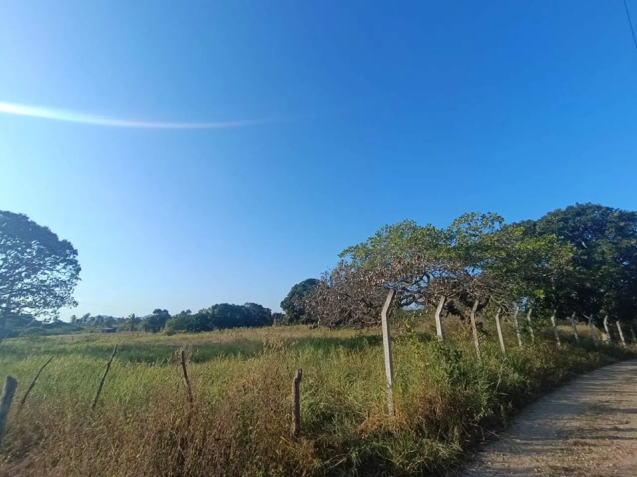 EXCELENTE SÍTIO COM 4 TAREFAS EM SÃO DOMINGOS. - Foto 3