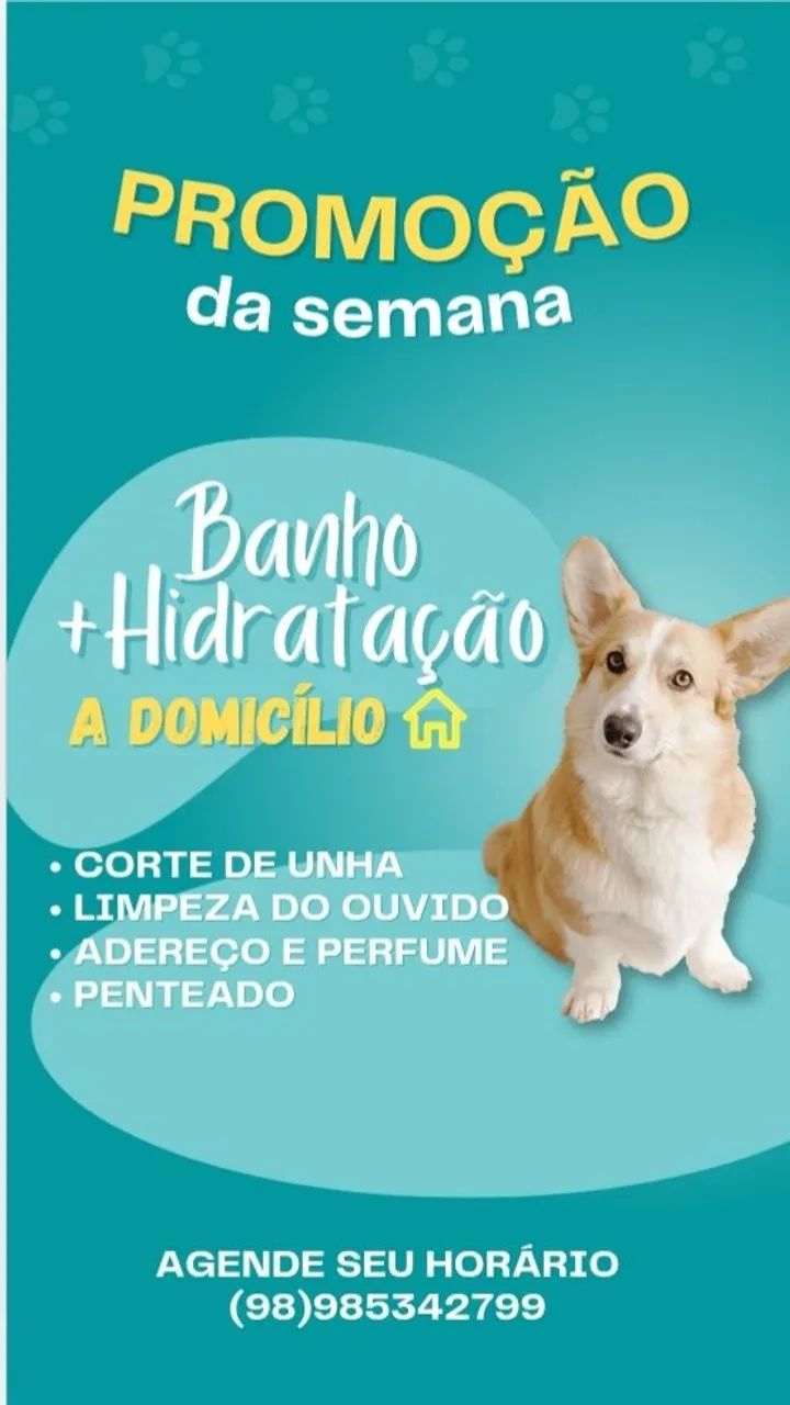 Banho e Tosa a domicílio 