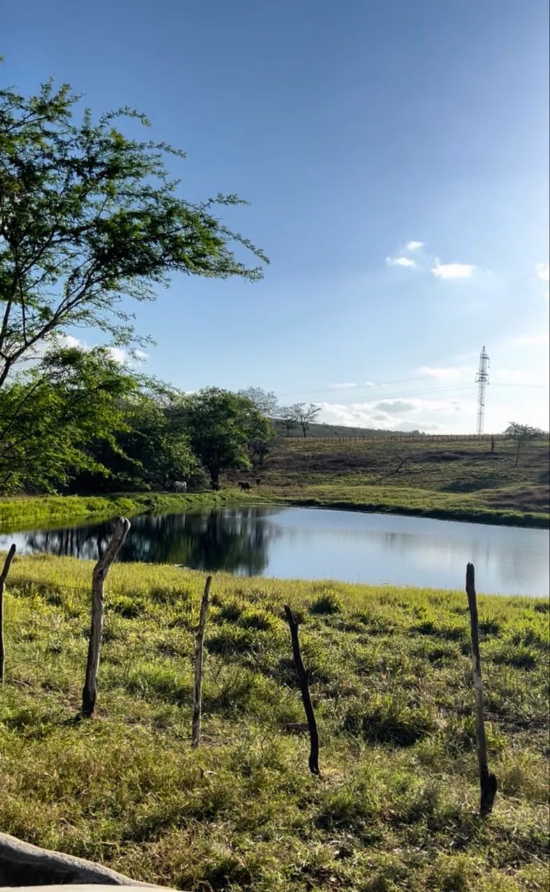 Fazenda 44ha com Cachoeira