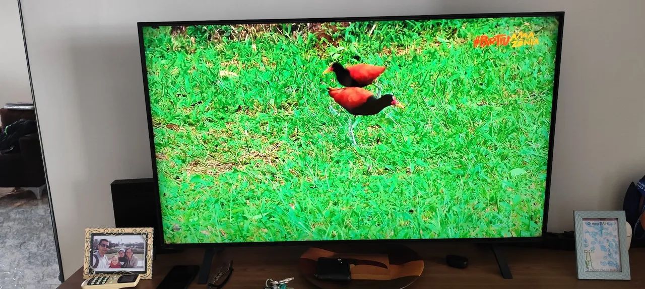 Smart Tv LG 50 polegadas nano. Excelente tv. Estou vendendo por motivo de mudança.