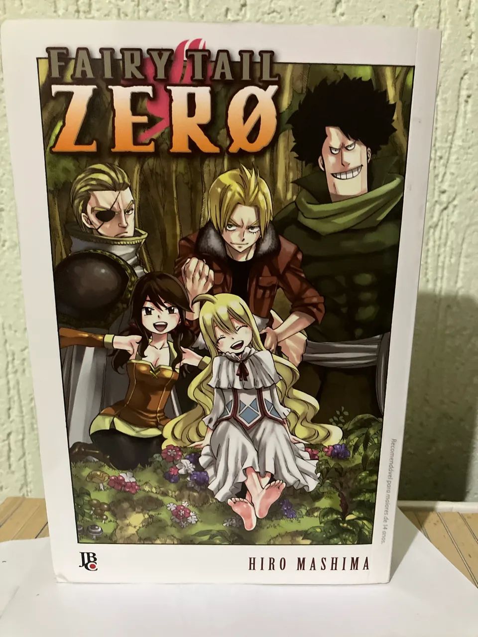 Fairy Tail - Livros e revistas - Jardim Motorama, São José dos
