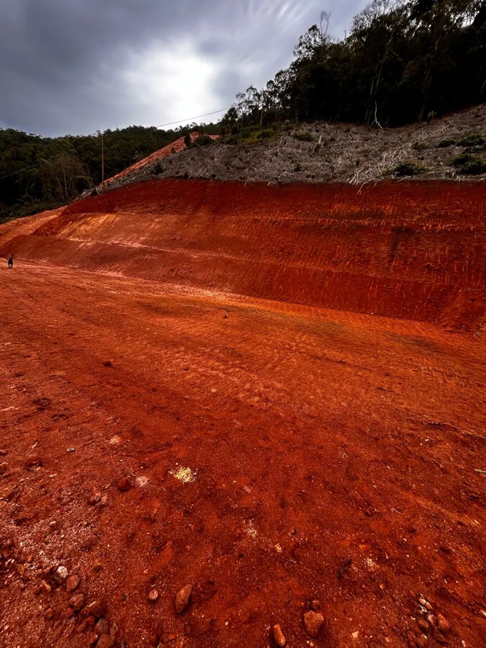 Terreno 20.000m2 - Foto 5