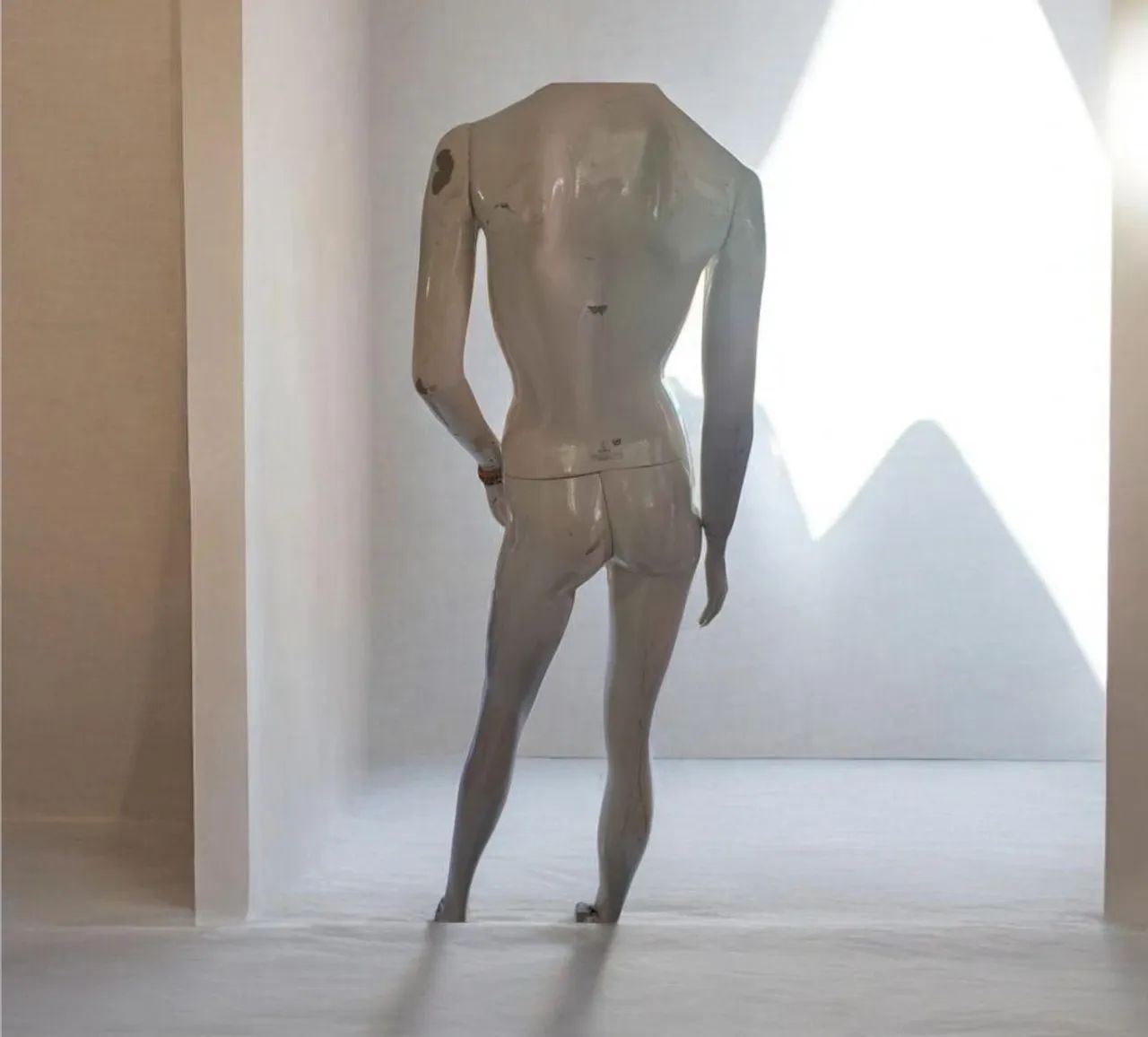 Barbada imperdível. Manequim feminino.