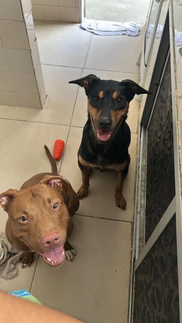 Cadela