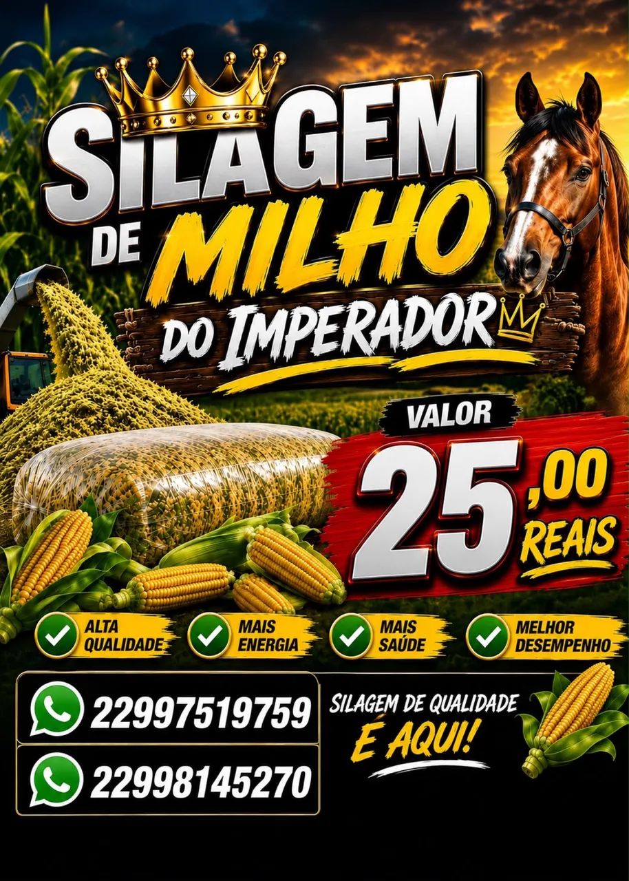 SILAGEM DE MILHO