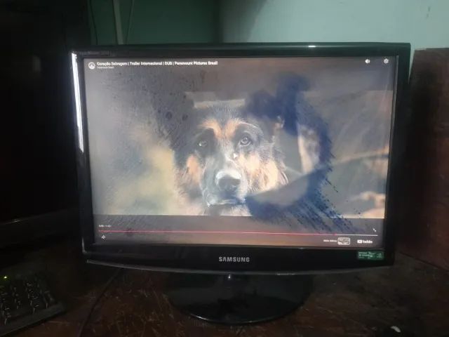 Monitor Samsung SyncMaster 2233RZ 22" - Funcionando com Defeito na Tela